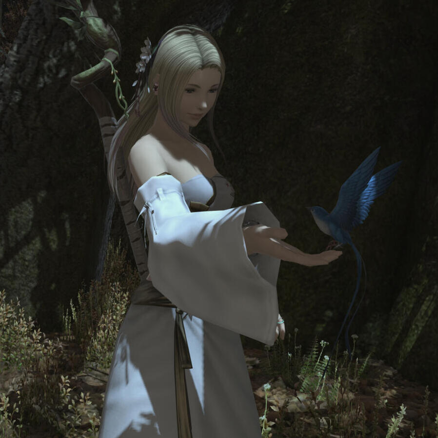 Lily's Grove